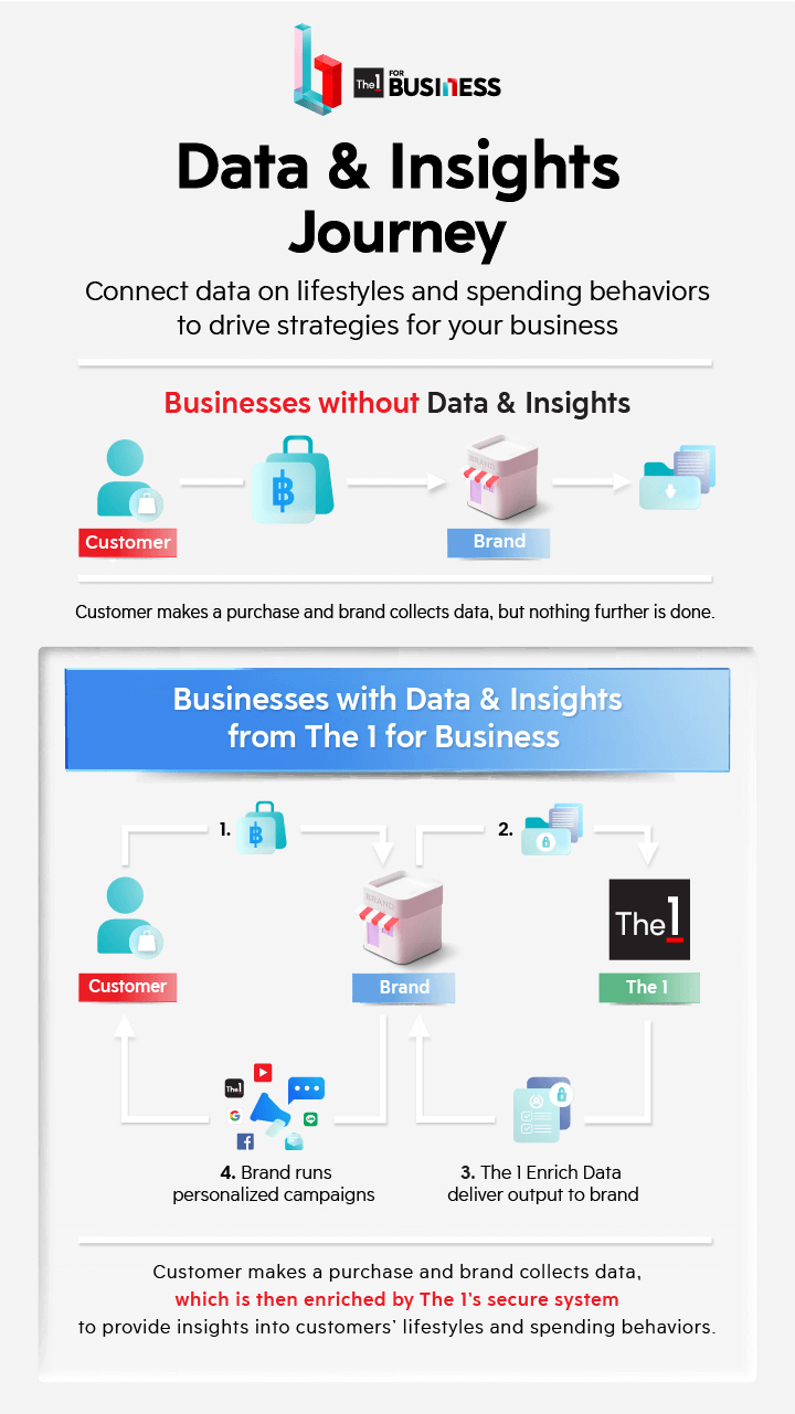 the 1 biz Data & Insights workflow