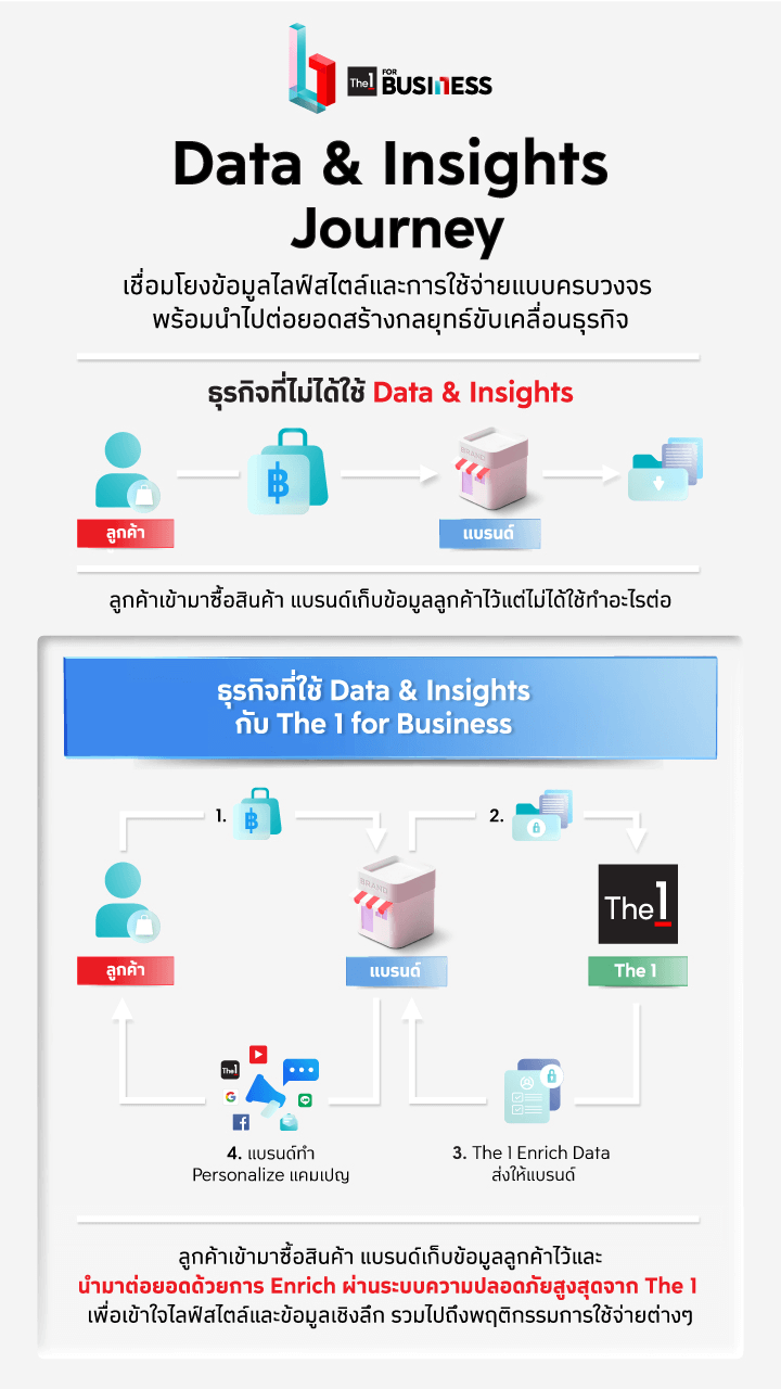 the 1 biz Data & Insights workflow