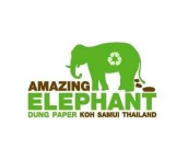 อเมซิ่ง เอเลเฟนท์ ดัง เปเปอร์